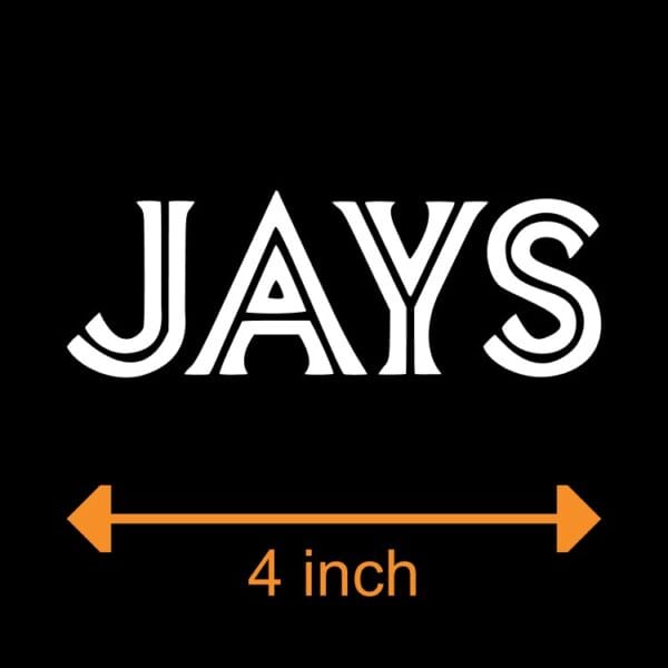 Blue Jays Fan - 4 inch Decal