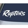 Raptors Fan - Free Decal